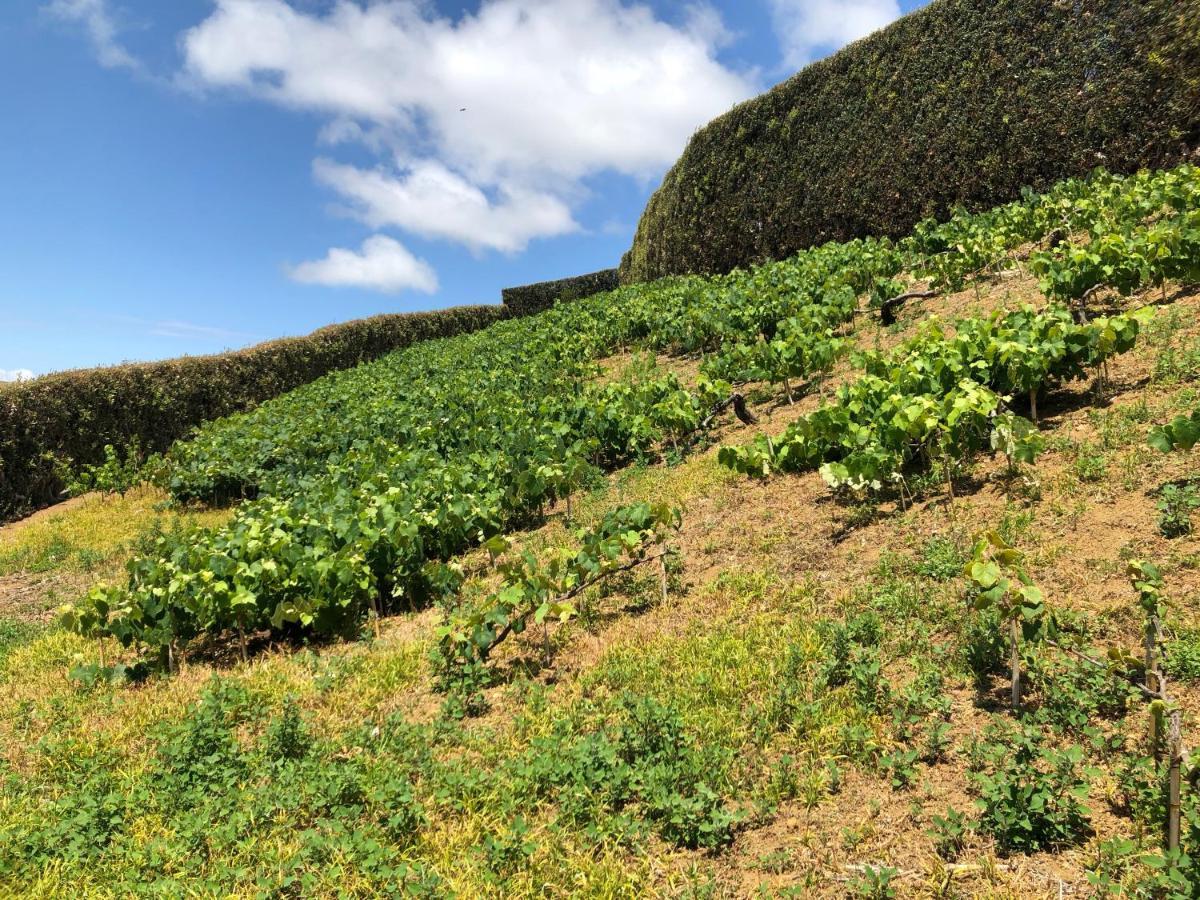 Quinta Do Pico Villa Ponta Delgada Dış mekan fotoğraf